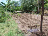 Desclaches 11519.jpg (27 KB) Desclaches; 2e Grande-Plaine