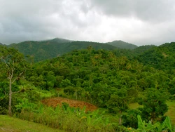 Pilate,  is surrounded by forests.