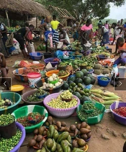 Île-à-Vache Market