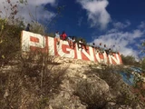Pignon