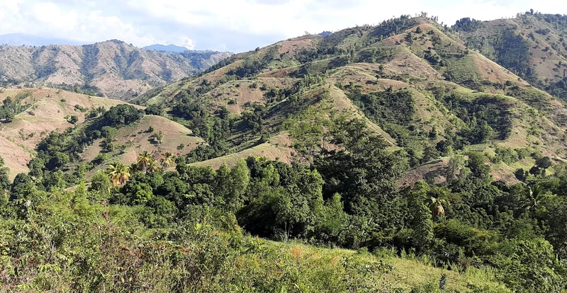 Rolling ridges and cultivated slopes in the uplands of Gros-Morne, 11e section communale de .