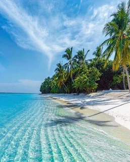 The tranquil shores of Île-à-Vache, Haiti
