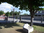 Cav14.jpg (54 KB) CAV