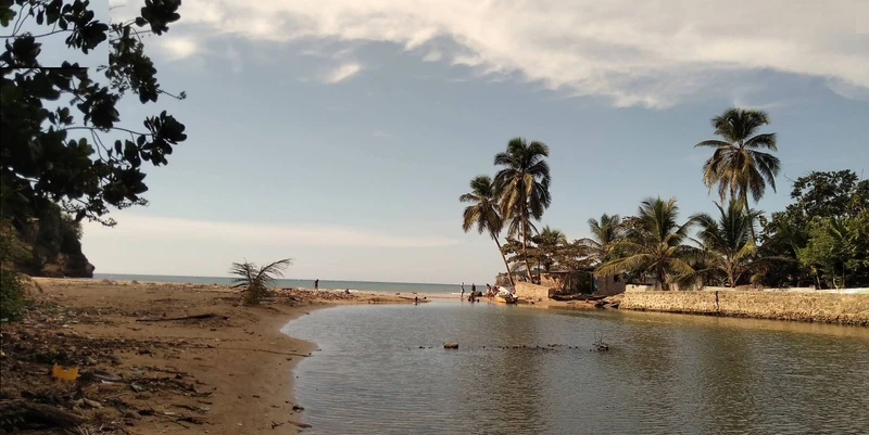 An estuary area in Abricots, Haiti