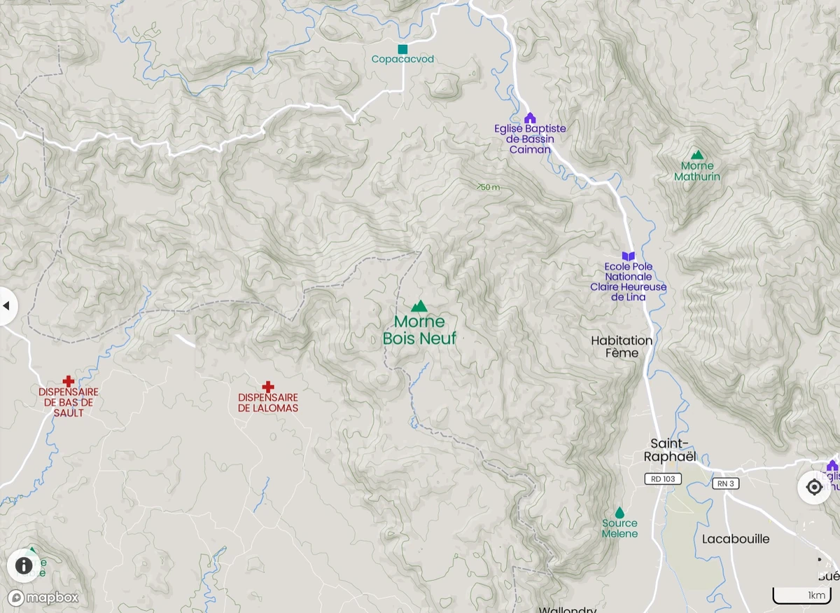 Bois Neuf STR Haiti Local Fandom