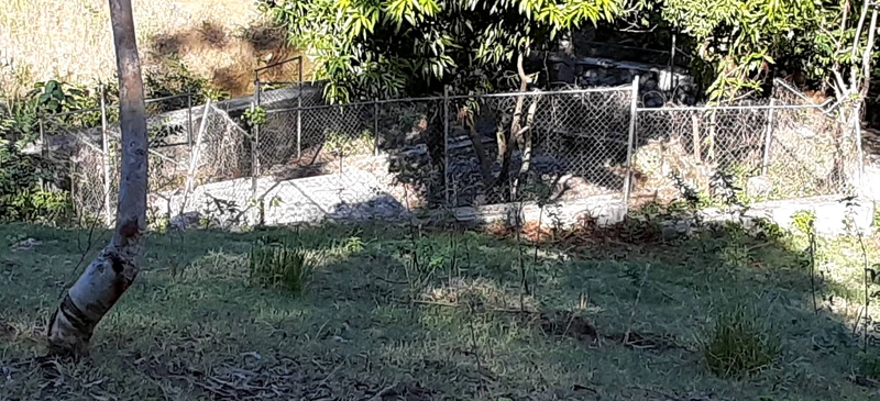 A fenced household plot, using simple wire fencing and stone edging to protect gardens, manage runoff, and stabilize sloped ground near the home.