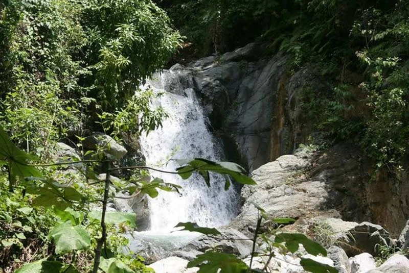 A secluded waterfall in Tiburon's upland hills, surrounded by dense greenery and the cool shade of the southern forest.