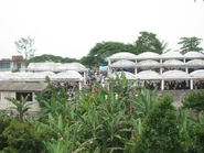 Lvdj110.jpg (291 KB) Ridore Market