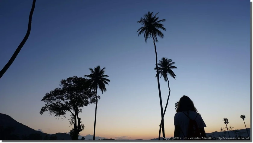 Jean-Rabel | Haiti Local | Fandom