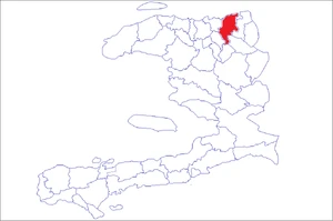 TDN507 Michael Vedrine