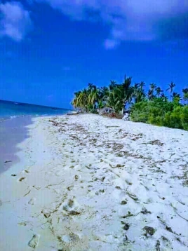 Anse Nord 52924