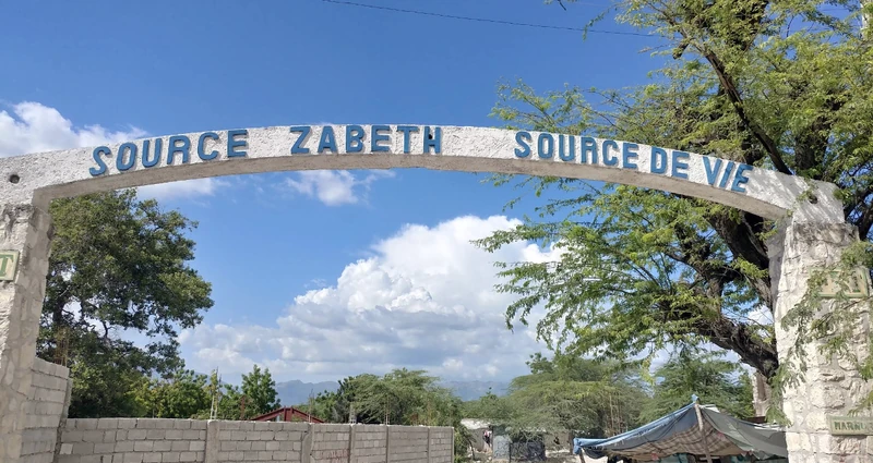 Source Zabeth 71425c