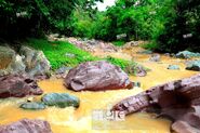 Blue and purple tinged rock poke from the creek bed en route to the Taino carvings