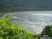 Bg14.jpg (102 KB) Borgne