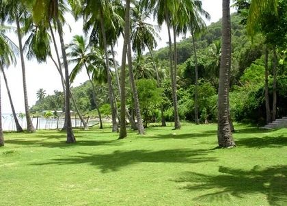 Bananier Beach; Petit-Goâve, 
