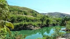 Petit-Fond 705 Michael Vedrine