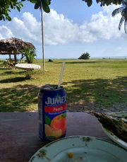 Beachside dining with a cold drink, a sea breeze, and a wide view of Torbeck’s shoreline.
