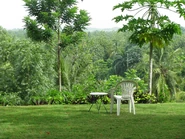 Les Cayes space.jpg (538 KB) Les Cayes, Haiti