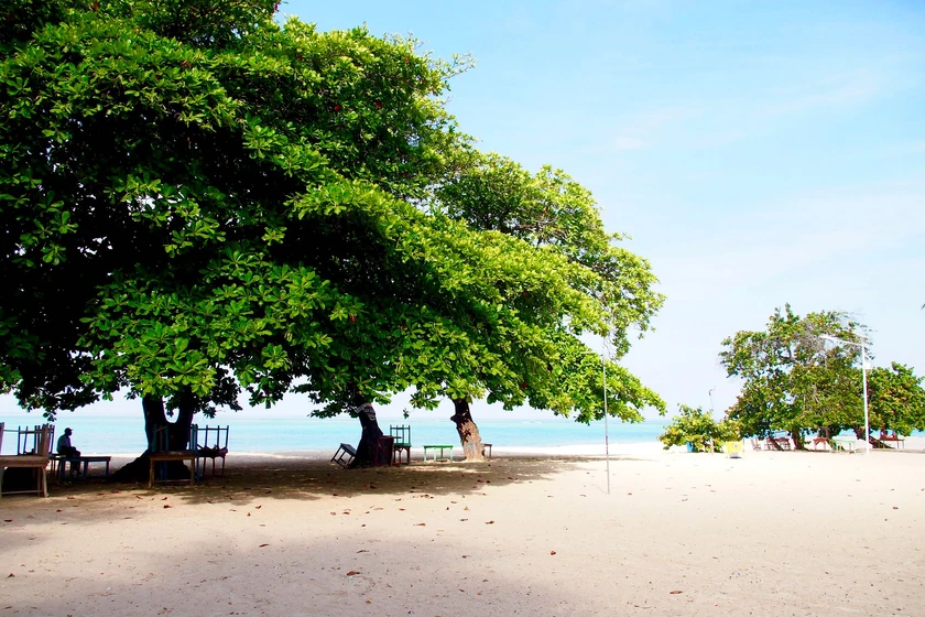 On the beach in Port-Salut, 