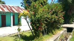 Colorful home by a canal, with a tin roof and flowering shrubs in bloom,