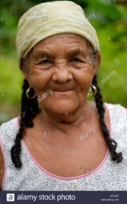 Cotes De Fer Haiti Local Fandom Cotes De Fer Haiti Local Fandom