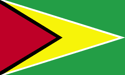 Guyana flag large