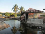One of the many houses destroyed during Matthew's visit to the seaside of Baie-de-Henne