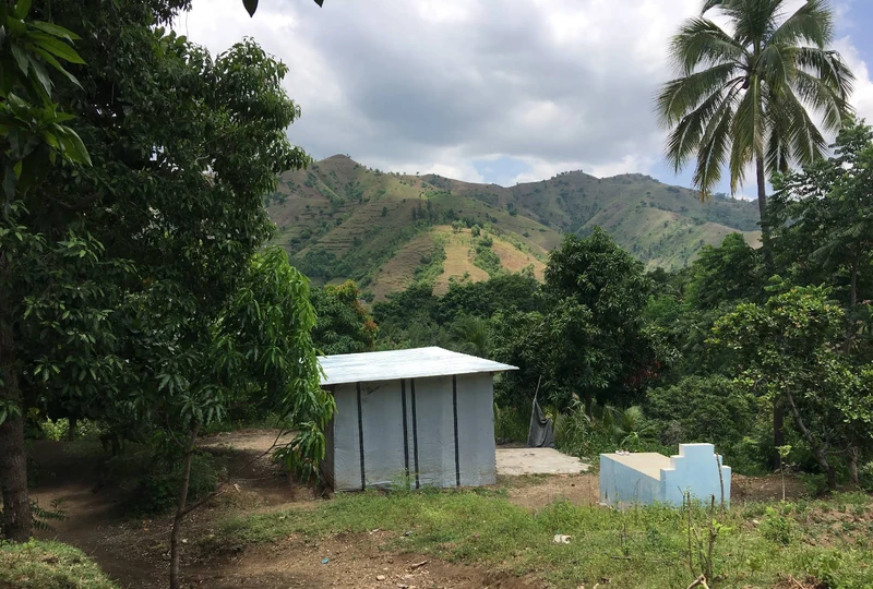 A small hillside home in Gros-Morne set among fruit trees and mixed vegetation, with folded ridgelines rising behind