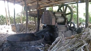 Pictures of a local sugar cane mill