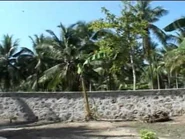 Hqdefault.jpg (21 KB) Young Belladère man