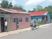 Ferrier Haiti Local Fandom