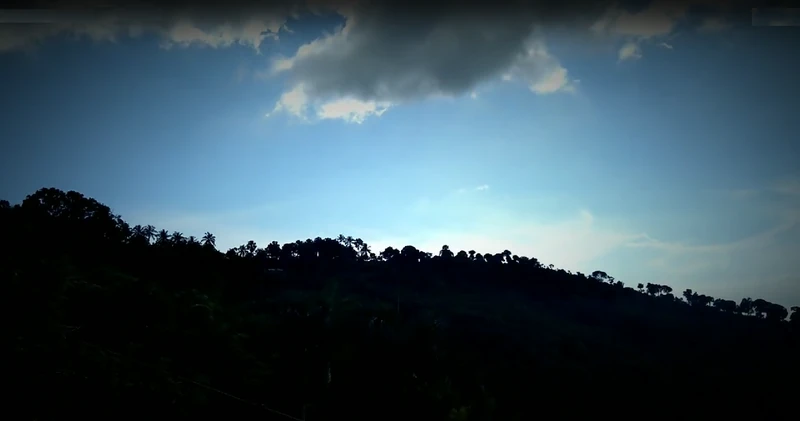 Daybreak at Bombardopolis, 