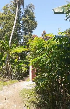 Petit Harpon 011126c