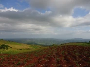 Paillant 31619d.jpg (28 KB) Fertile Paillant hillls