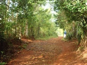 Rue PierrimasPaillant, , 