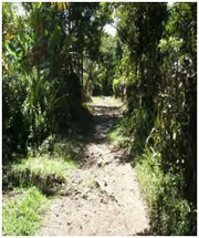 Access way to Charmettes