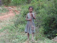 Abr43k.jpg (85 KB) Abricots