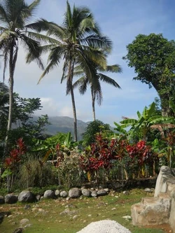 4ème Section Mare-Henri; Cavaillon, 