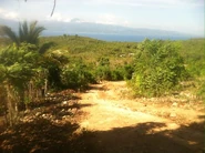 Wout Kanadyen; Aux Plaines