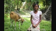 Marigot409a.jpg (9 KB) Lady and a goat; Marigoat, Haiti