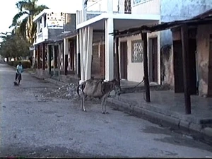 Site Chalvire - SW Downtown Les Cayes