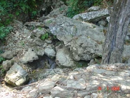Spring.jpg (102 KB) Natural springs in Nord-Ouest, Haiti