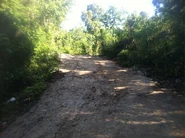 Wout Kanadyen; Aux Plaines