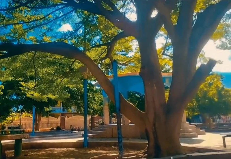 Tiburon Central Park