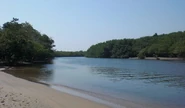 Dajabon River at Pepillo Salcedo, DR