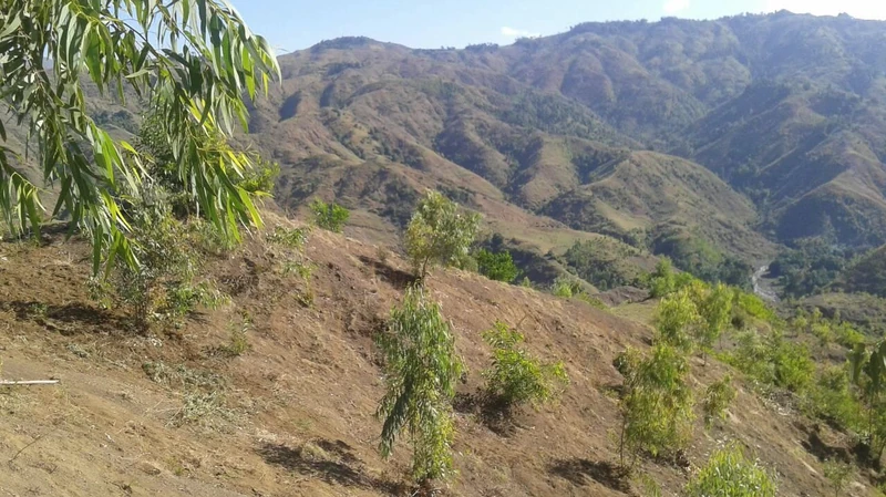 Hillside slopes and folded ridgelines in the uplands of 9e Citronniers.
