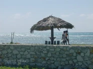 Cdf301.jpg (27 KB) Sebastien Beach; Côtes-de-Fer