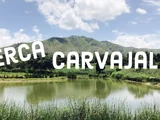Cerca-Carvajal