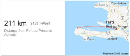 Abricots 822 Michael Vedrine