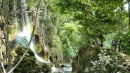 Near Source Colas